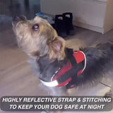2022 Vest-Style Dog Walking Leash Dog Chest Strap
